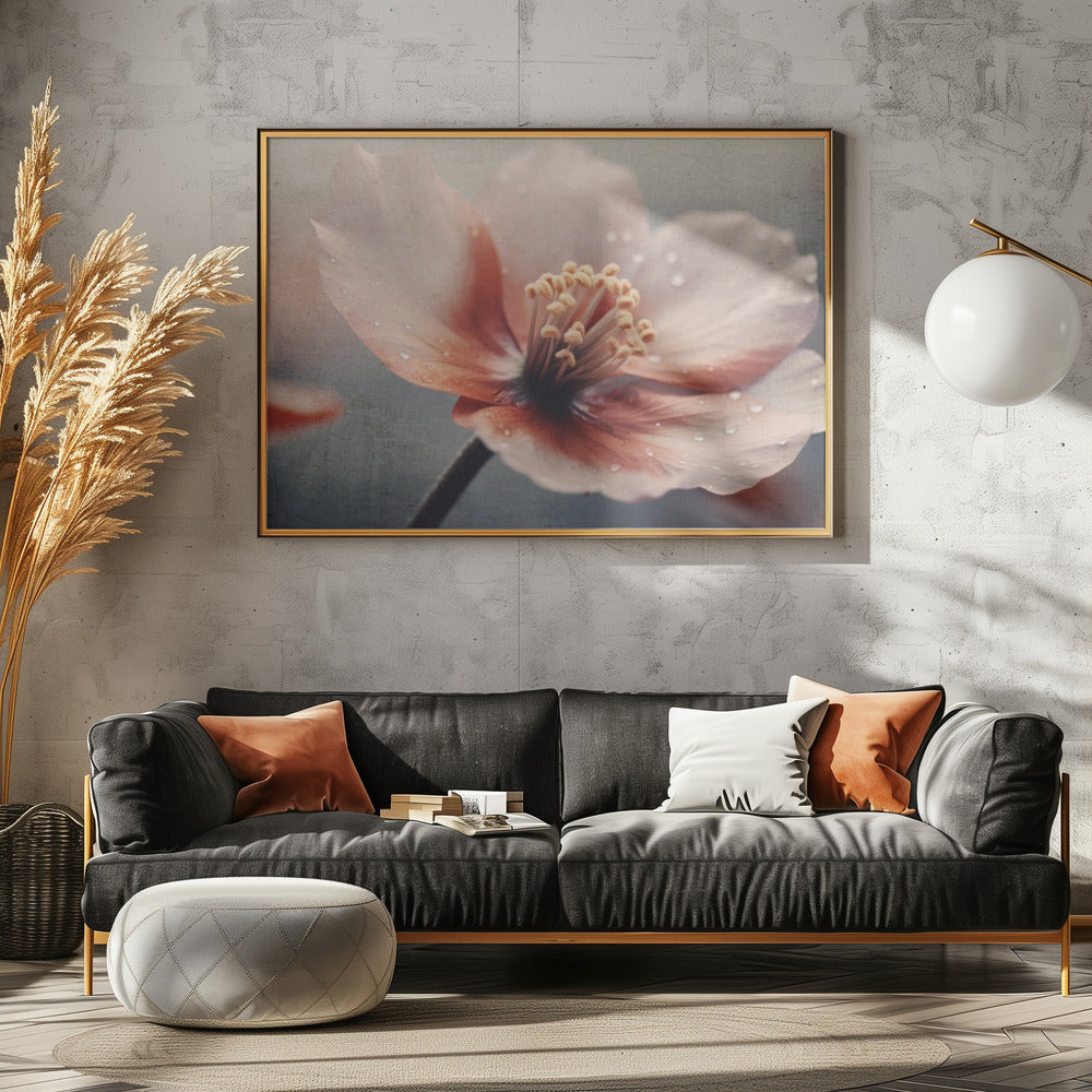 Petals of Serenity | Canvas