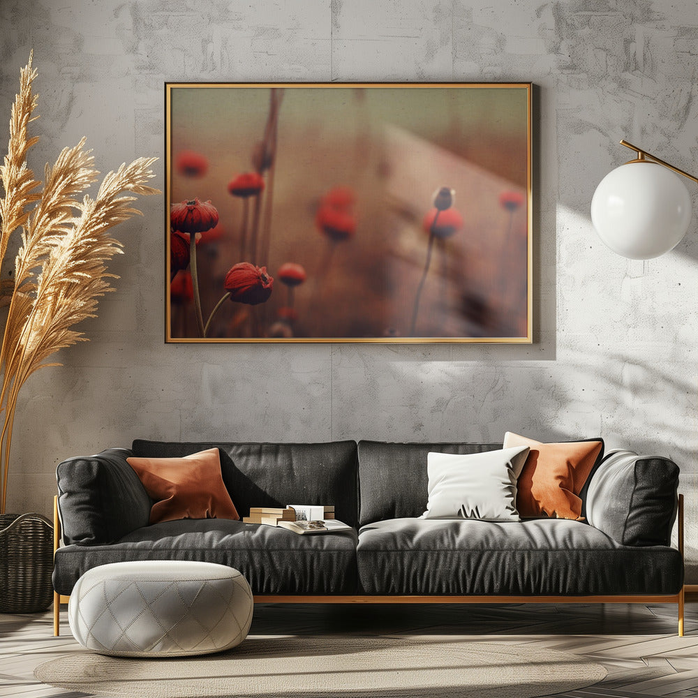 Poppy Dreams | Canvas