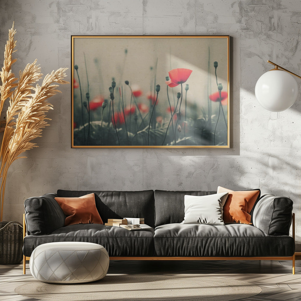 Poppies in the Mist | Canvas