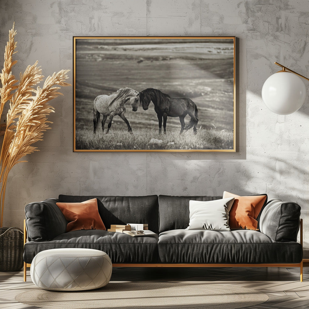 close encounter | Canvas