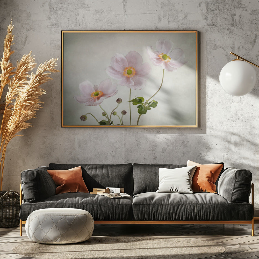 Anemones | Poster