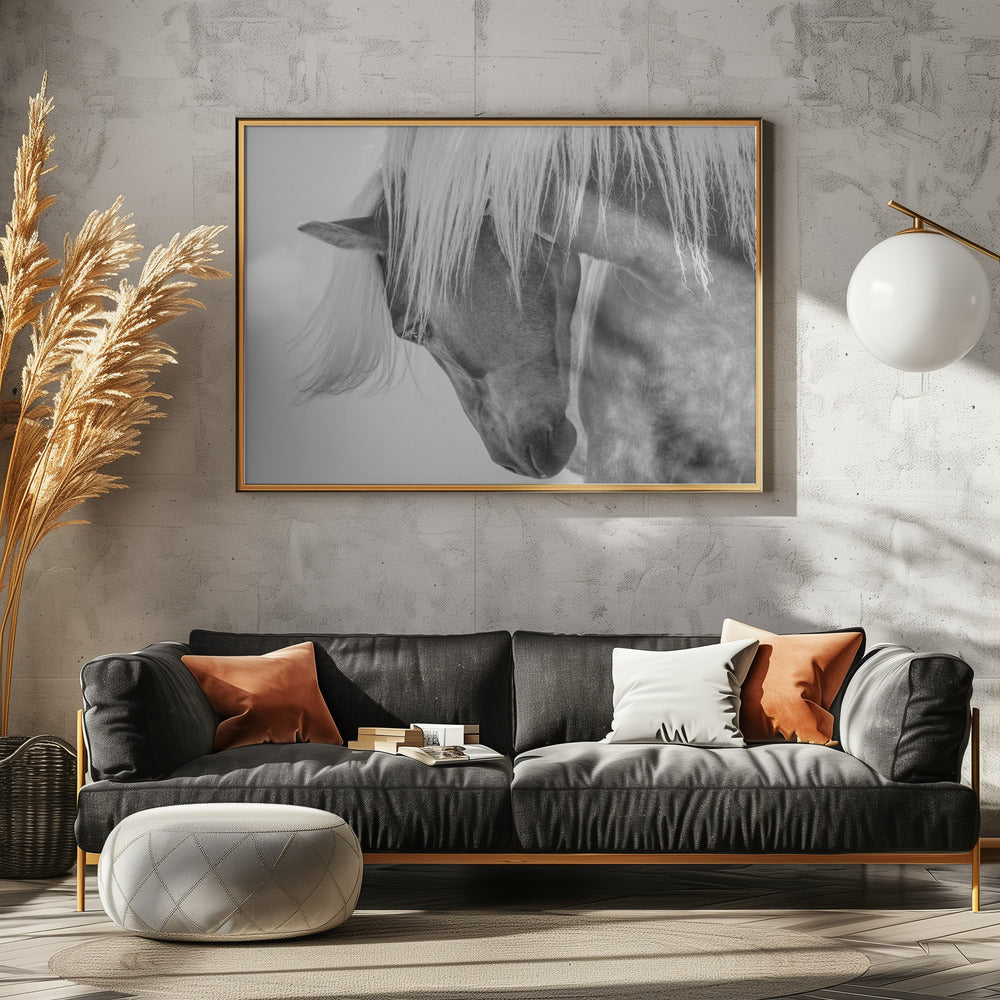 Haflinger Portrait II | Canvas