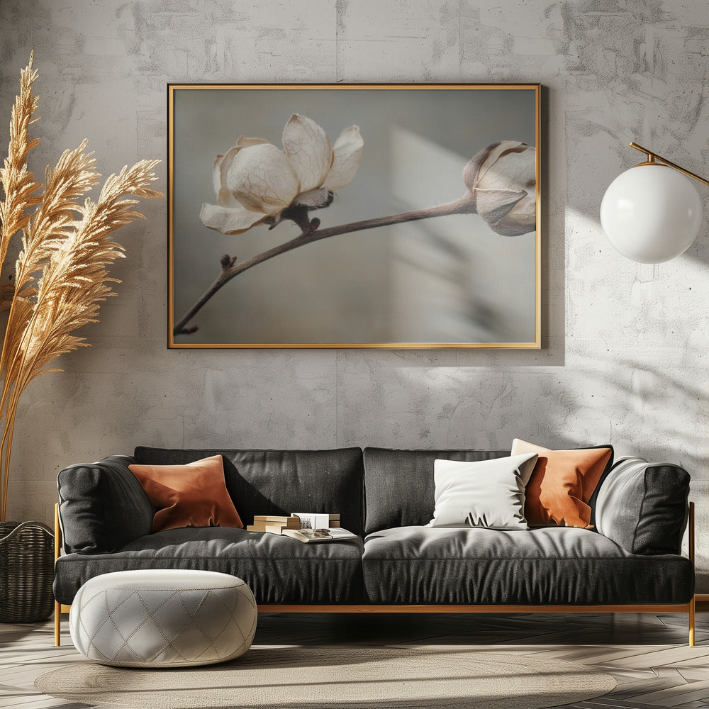 Delicate Petals | Canvas