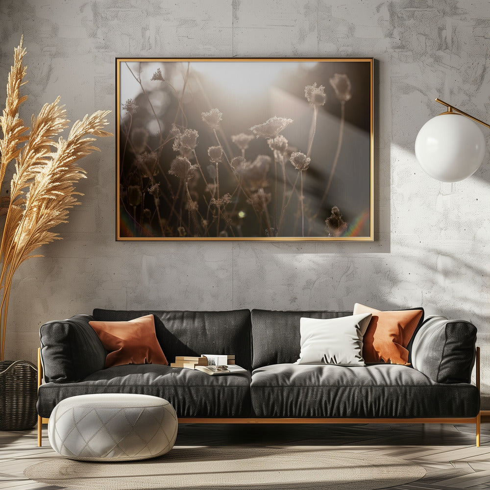 Warm Winter Light 3 | Canvas