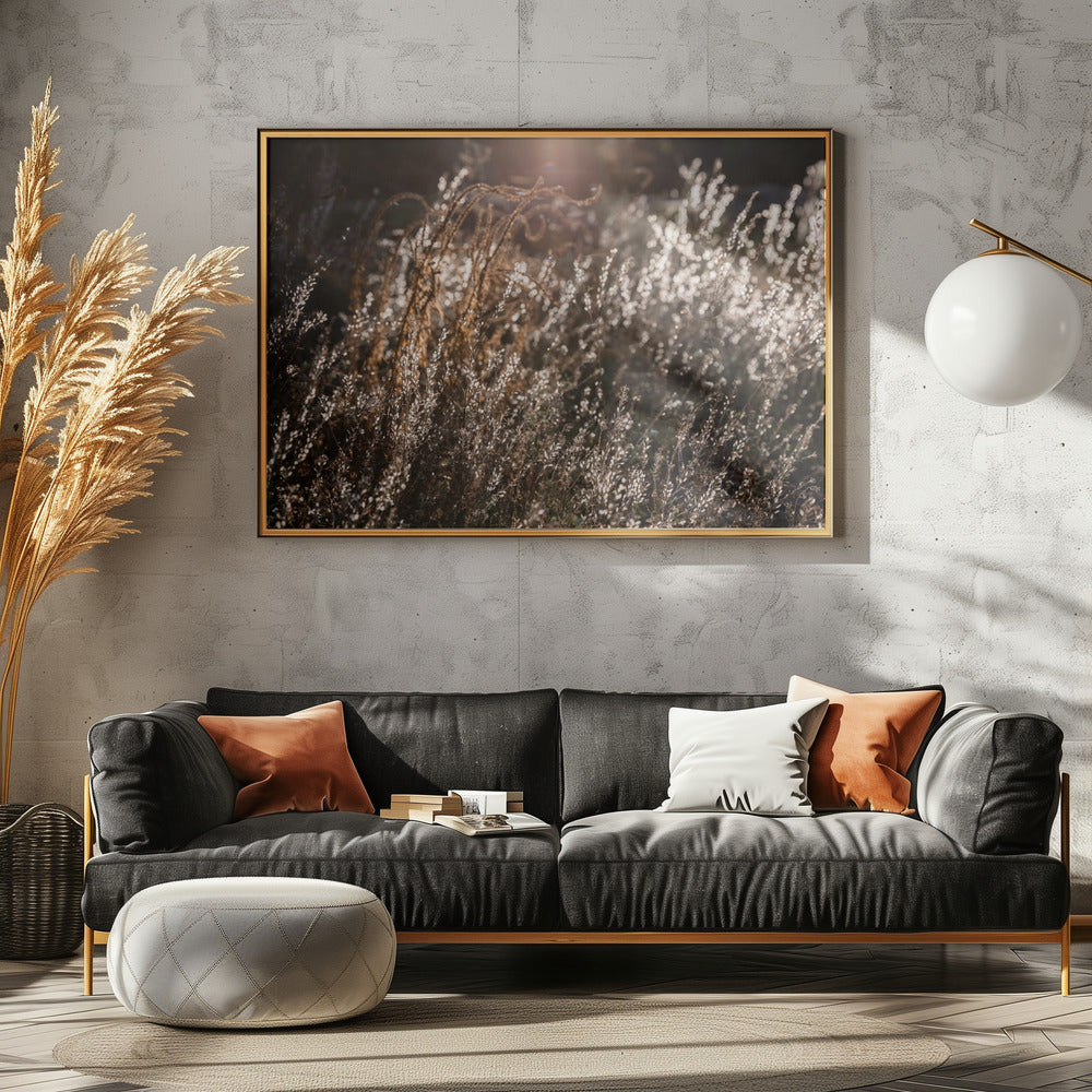 Warm Winter Light 4 | Poster