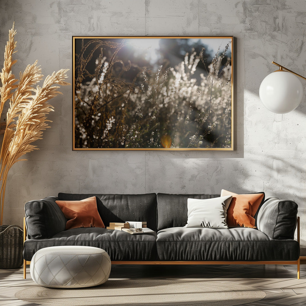 Warm Winter Light 7 | Canvas
