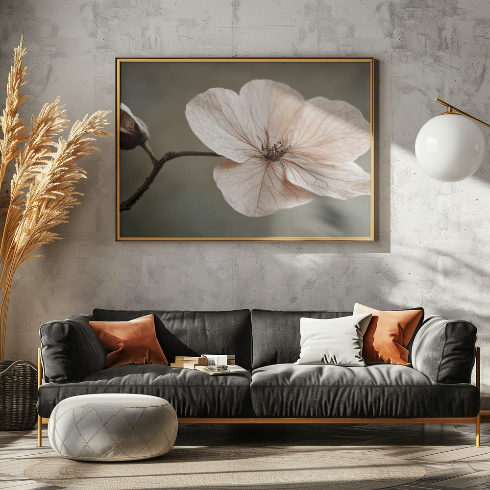 Delicate Bloom | Poster