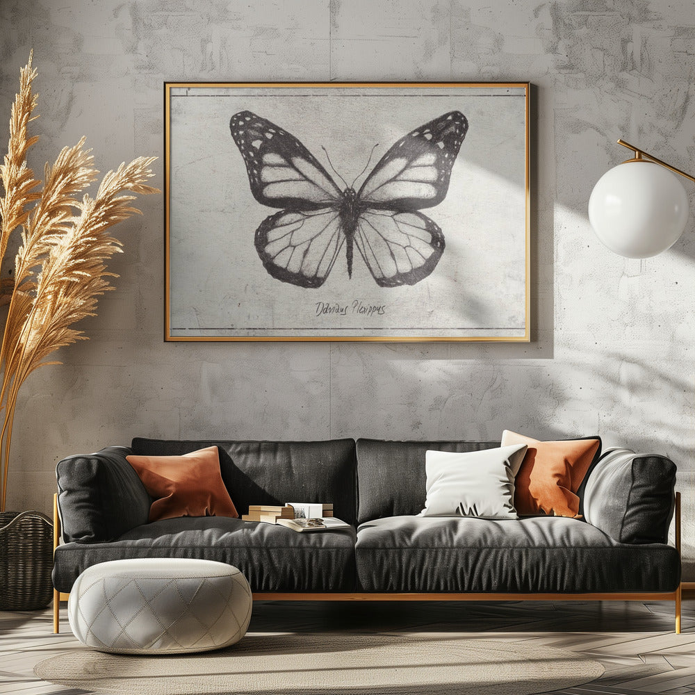 Sketch Of A Monarch Butterfly | Poster