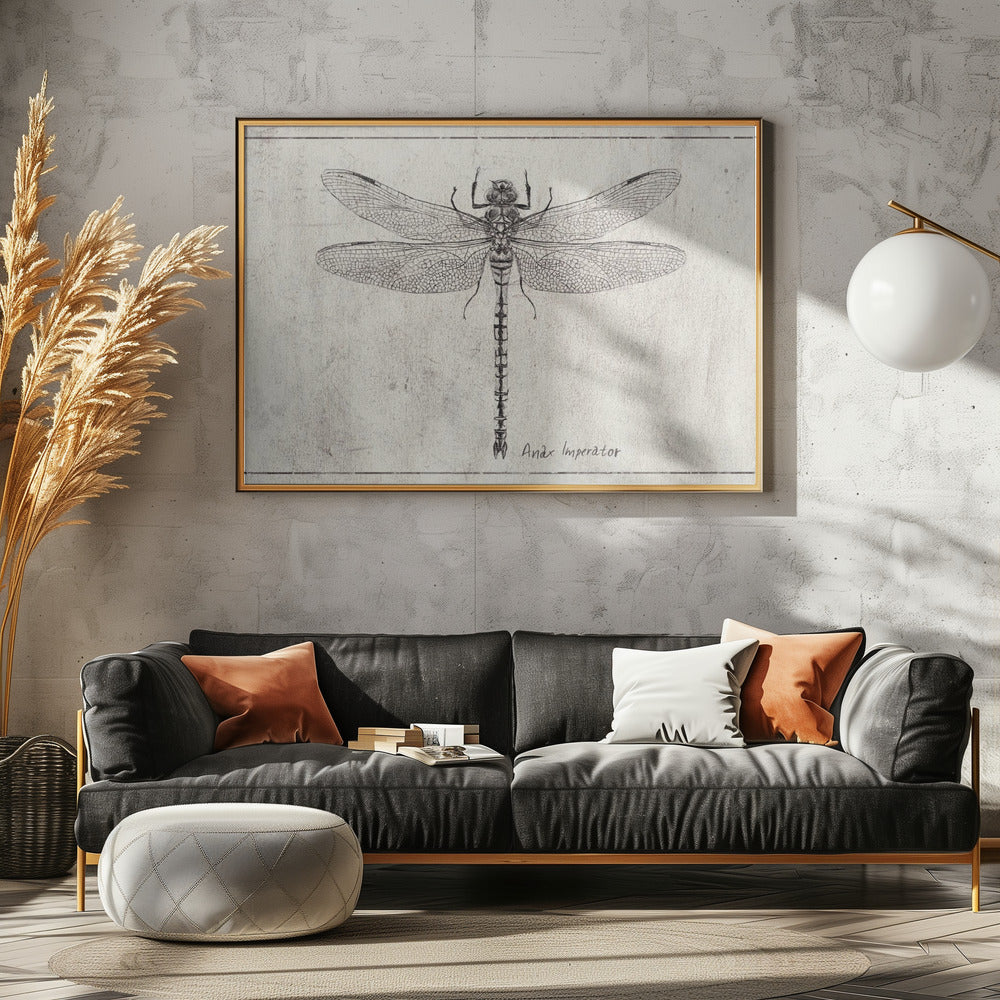 Majesty in Flight Anax Imperator | Canvas