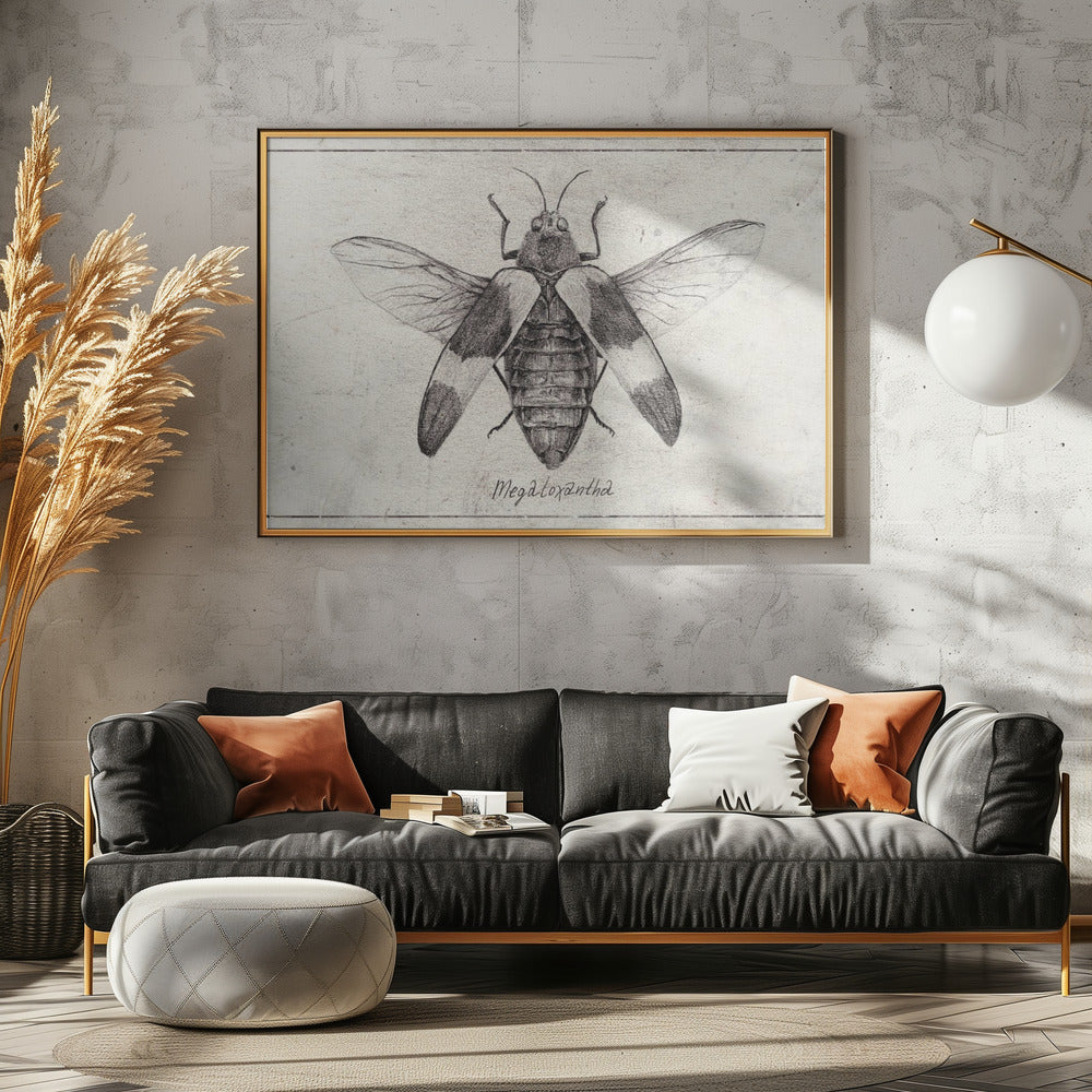 Intricate Insect Sketch | Canvas
