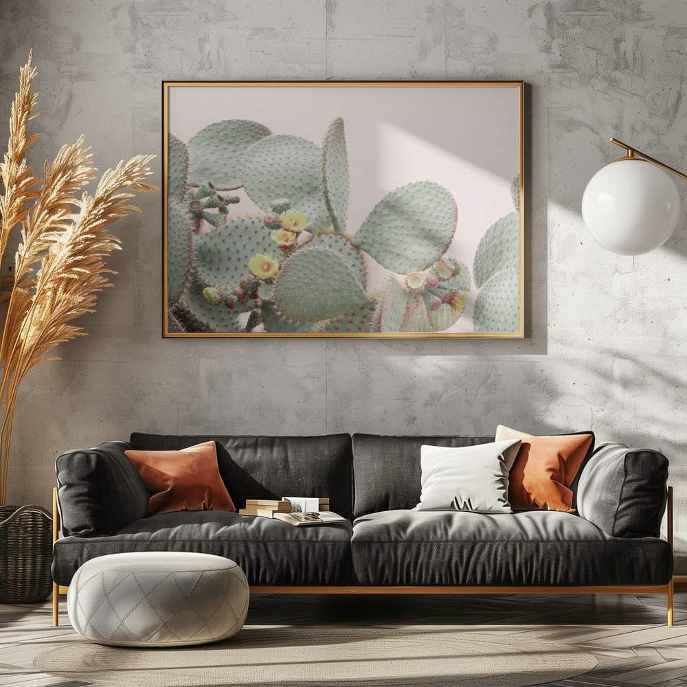 Blooming Cactus | Poster