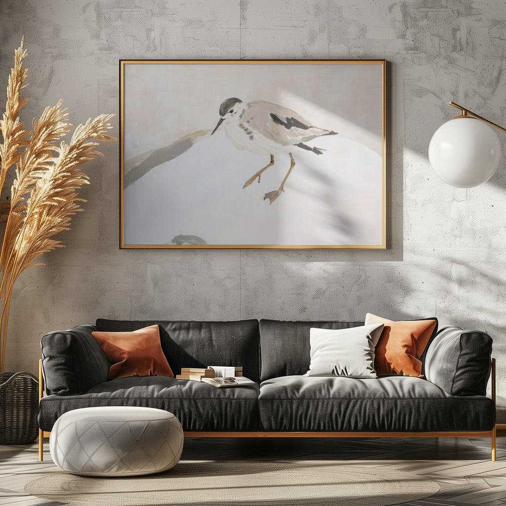 Cute Shorebird | Poster
