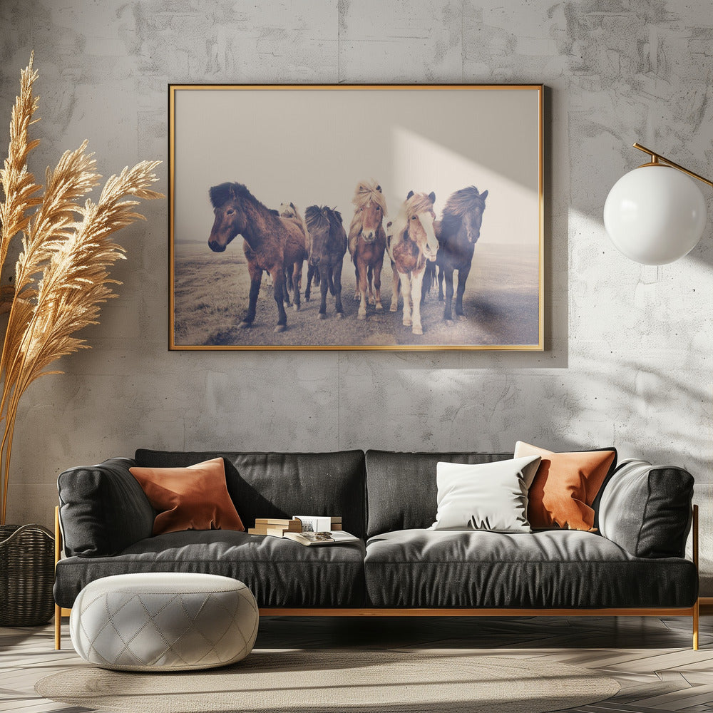 Horses | Canvas