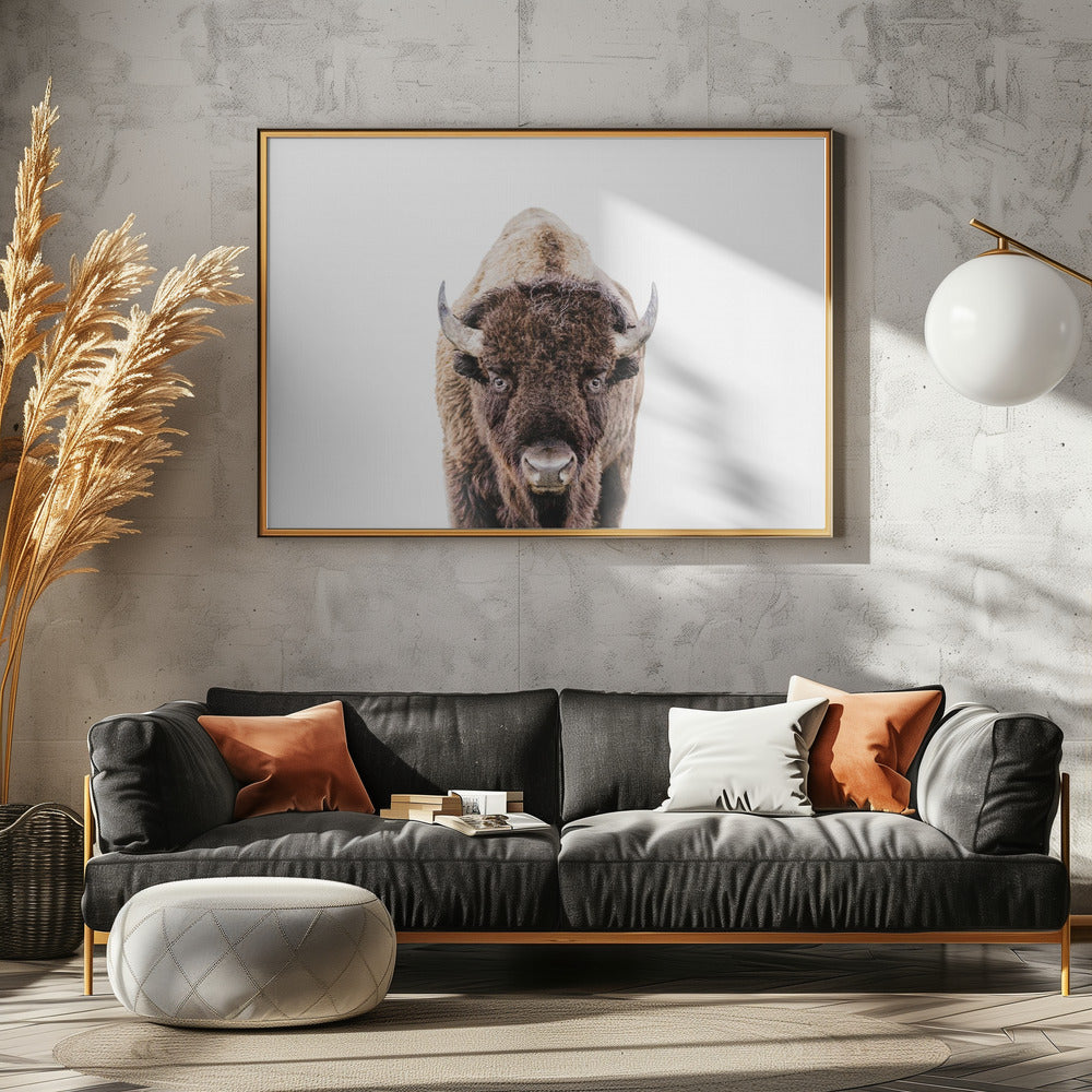 Bison | Canvas