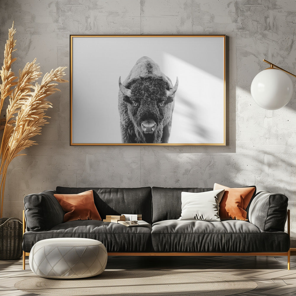 Bison Bw | Canvas