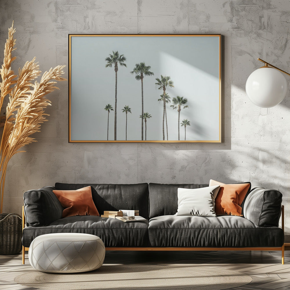 Cali Palms | Canvas