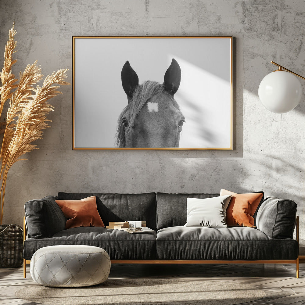 Peeking Horse | Canvas