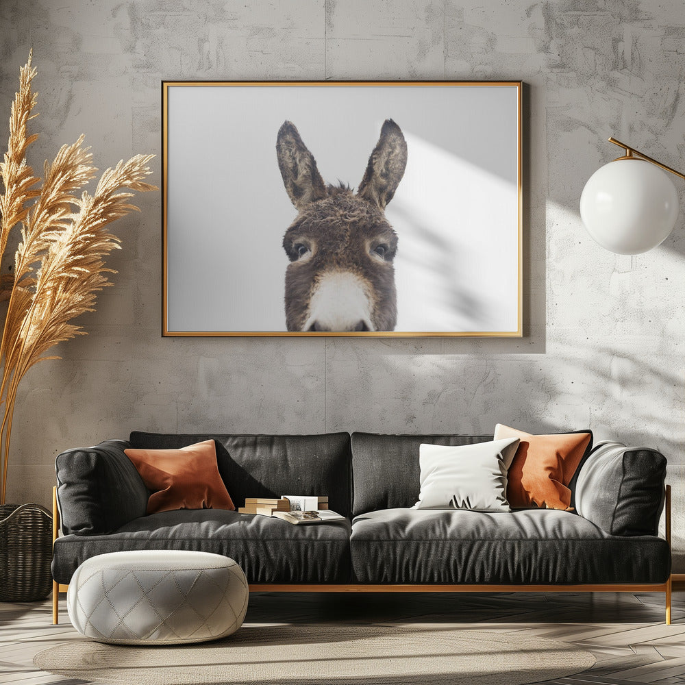 Peeking Donkey | Canvas