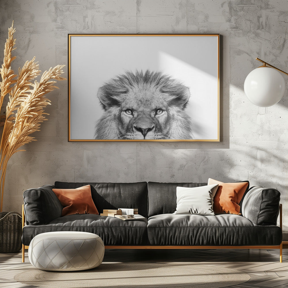 Peeking Lion | Canvas