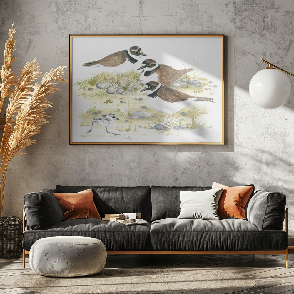 Plovers | Canvas