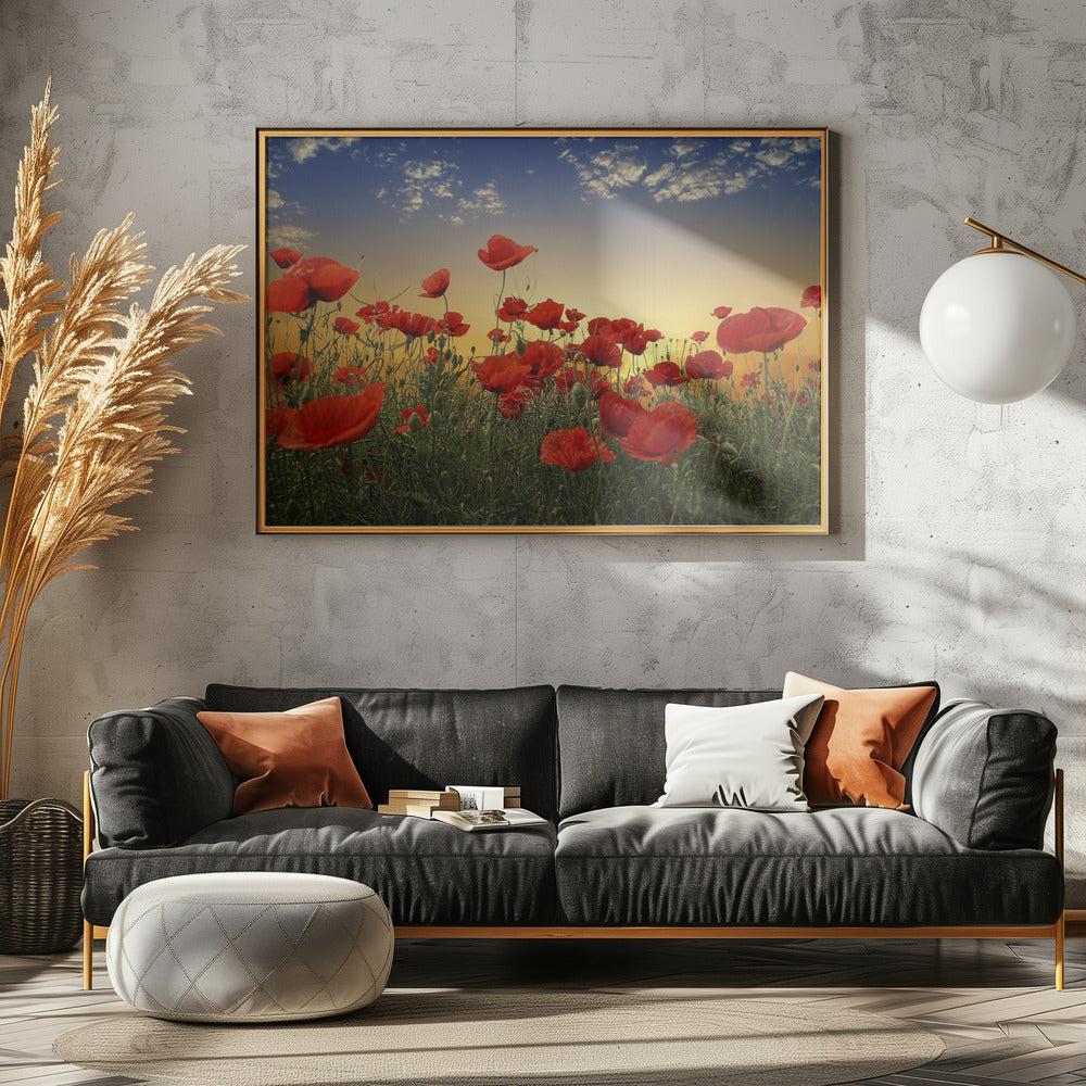Poppies | Poster