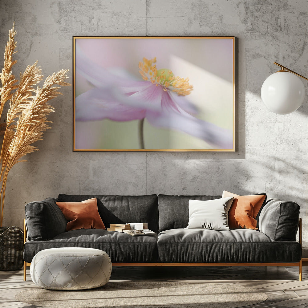 Japanese Anemone | Poster