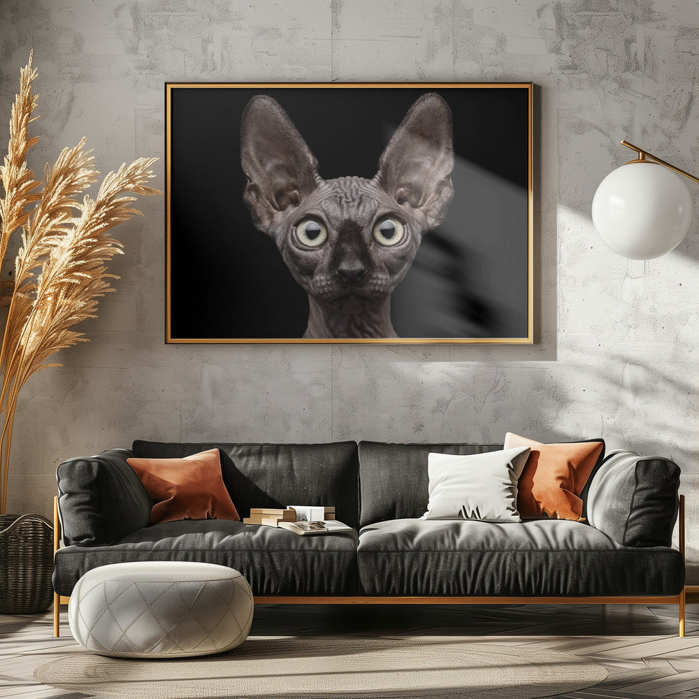 Sphynx Cat | Canvas