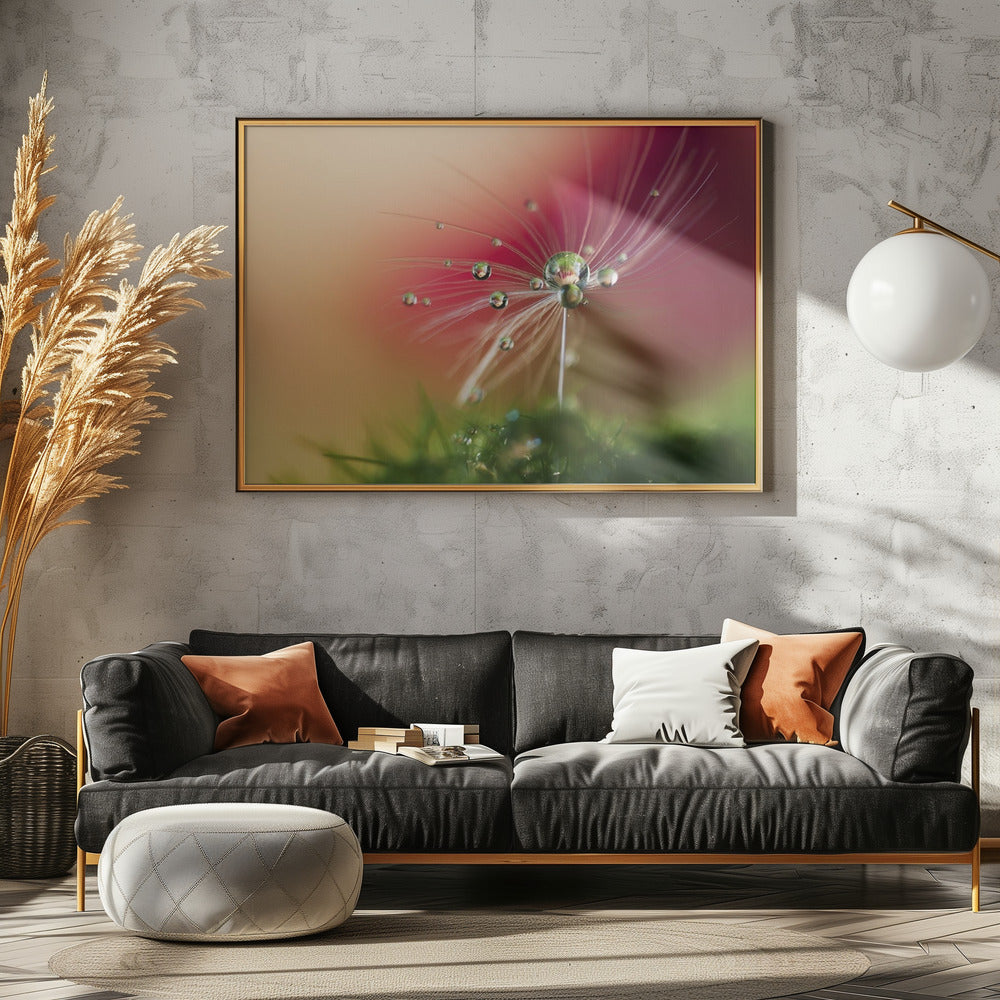 Red Morning | Canvas