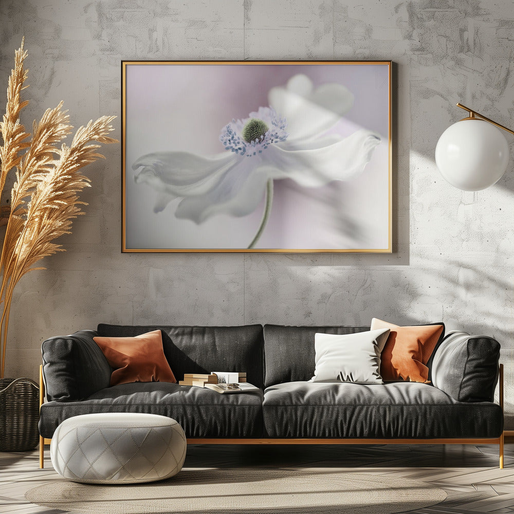 Anemone breeze | Poster