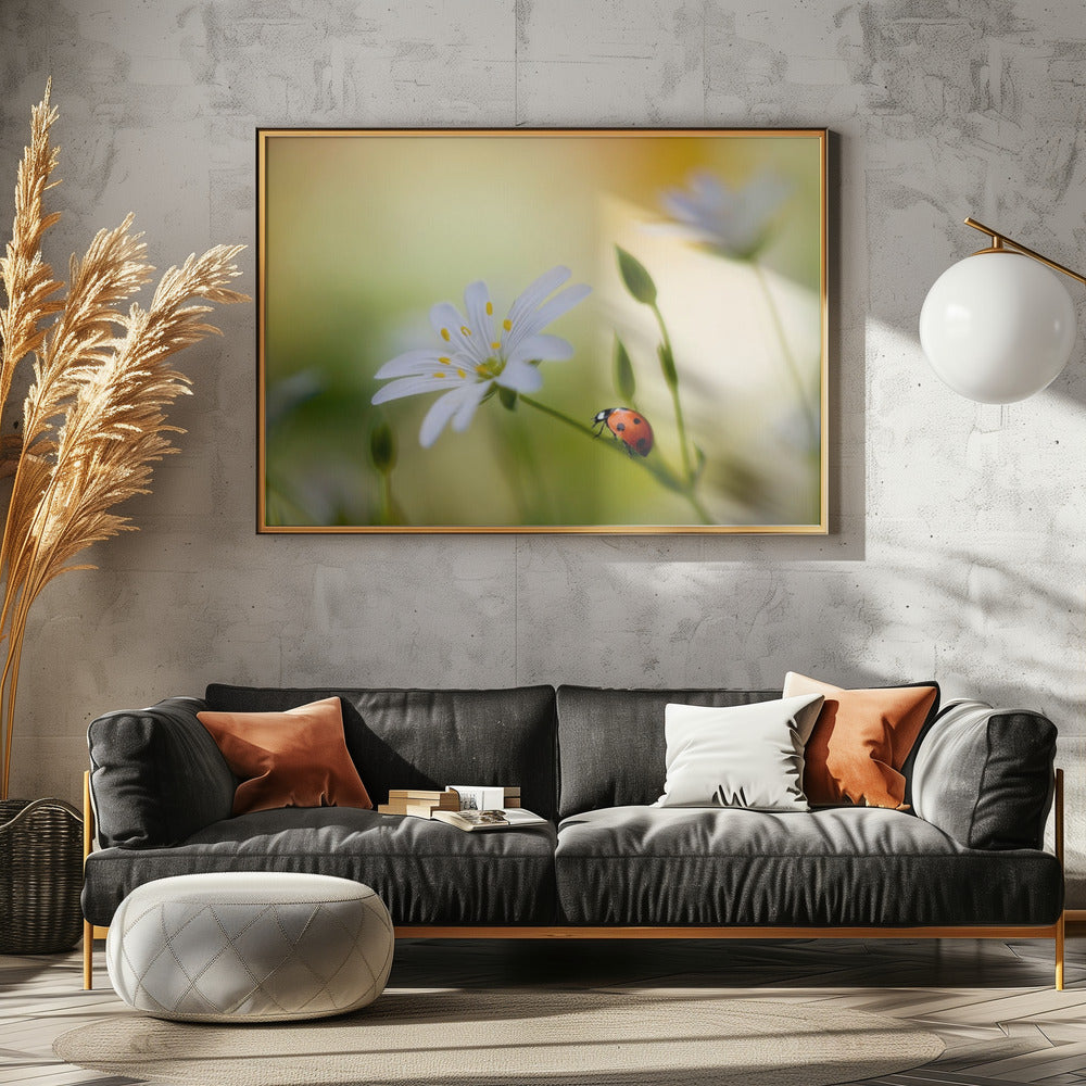 Summer beauties | Poster