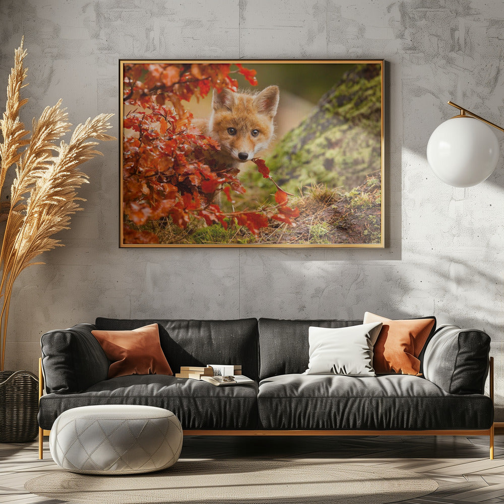 Fox | Canvas