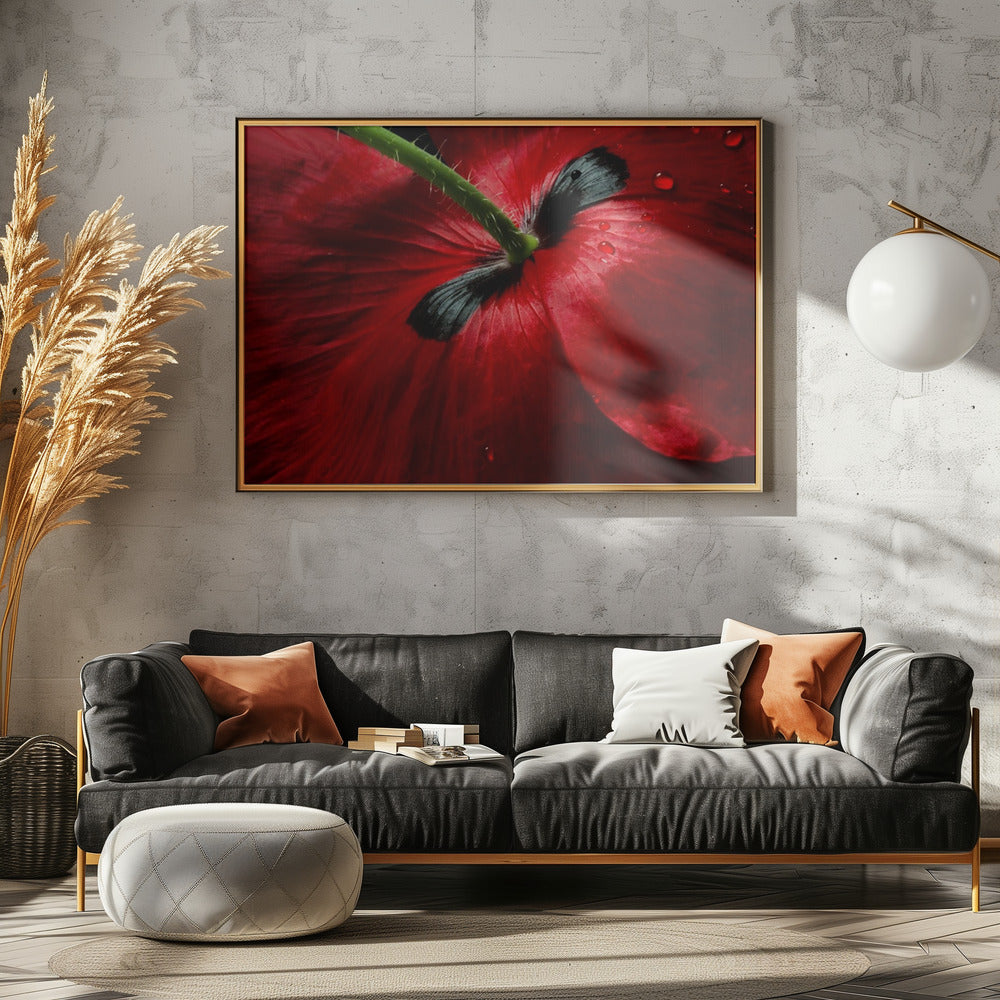 Papaver passion | Poster