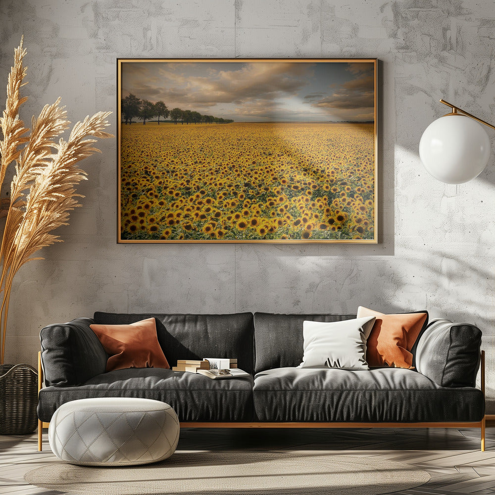 Sunflowers | Canvas
