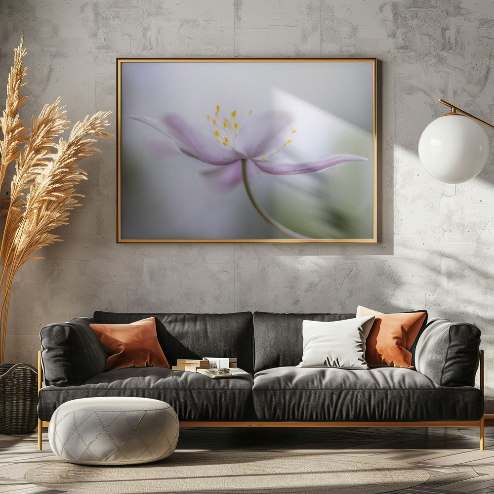 Nemorosa*** | Canvas