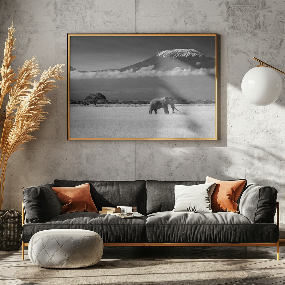 Lost Colors II | Canvas