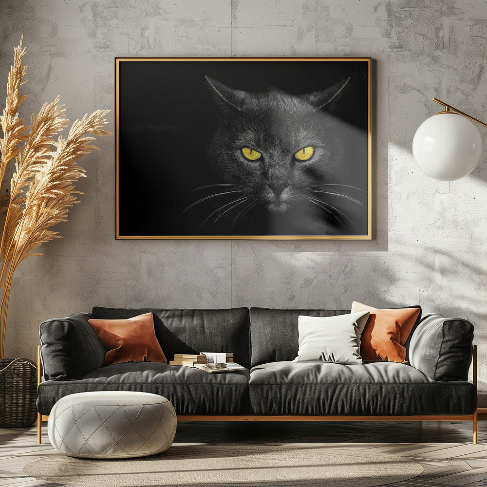 Black Cat | Canvas