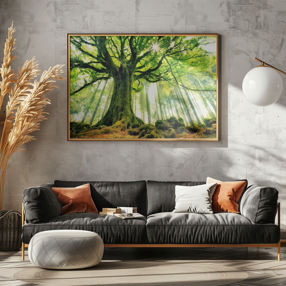 Ponthus' Beech | Canvas