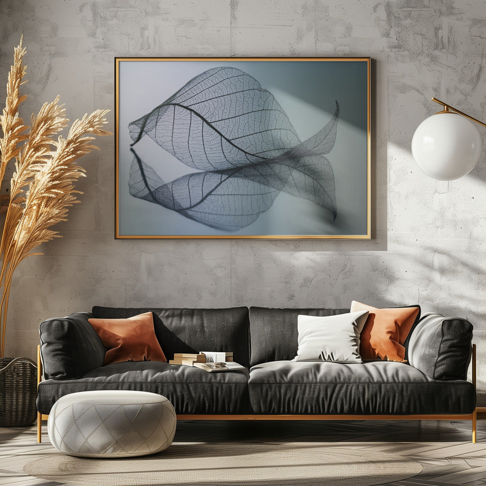 Curvaceousness | Canvas