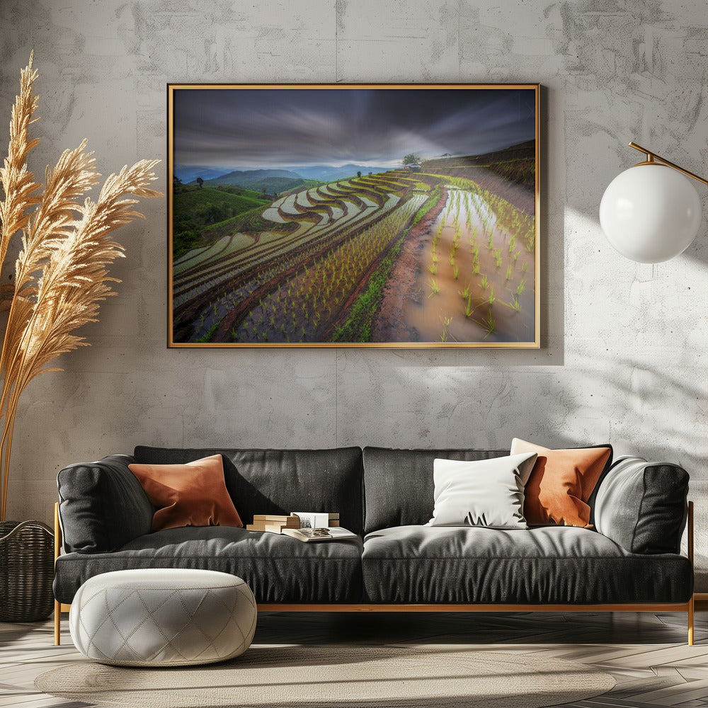 Unseen Rice Field | Canvas