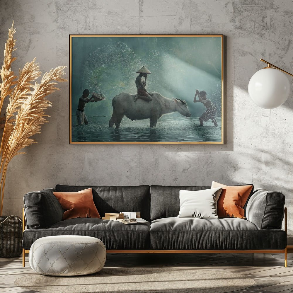Water Buffalo | Poster