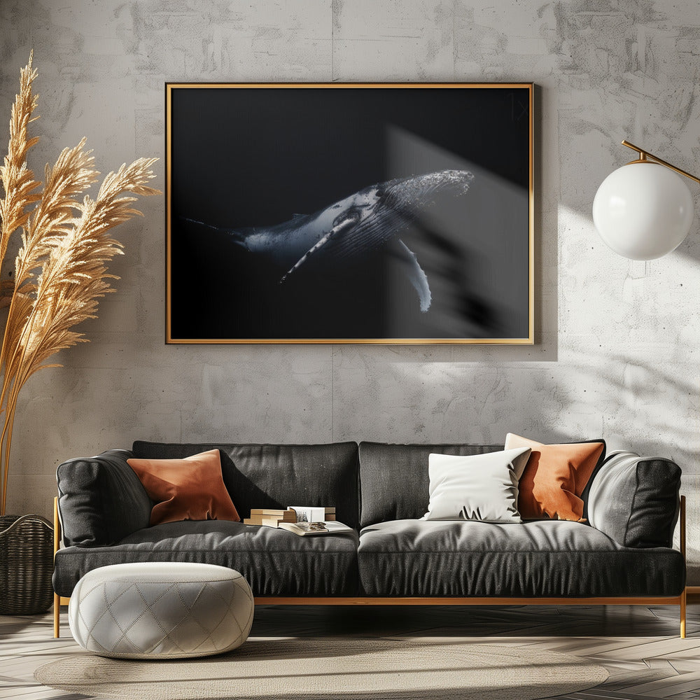 Black &amp; Whale | Canvas