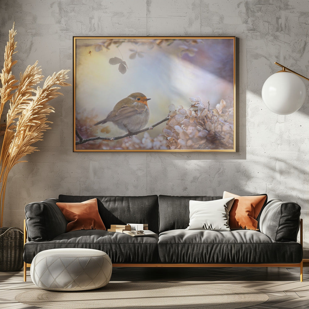 Robin on dreams | Canvas