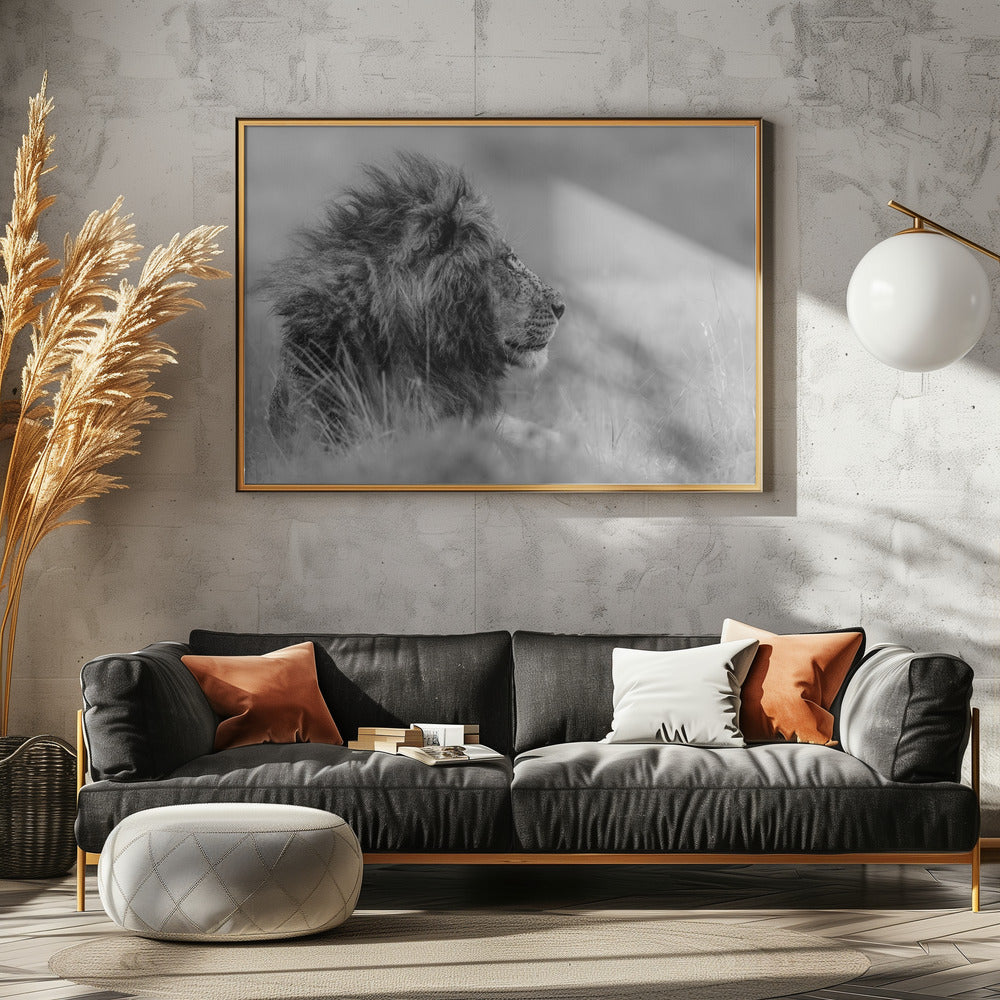 The king is alone | Poster