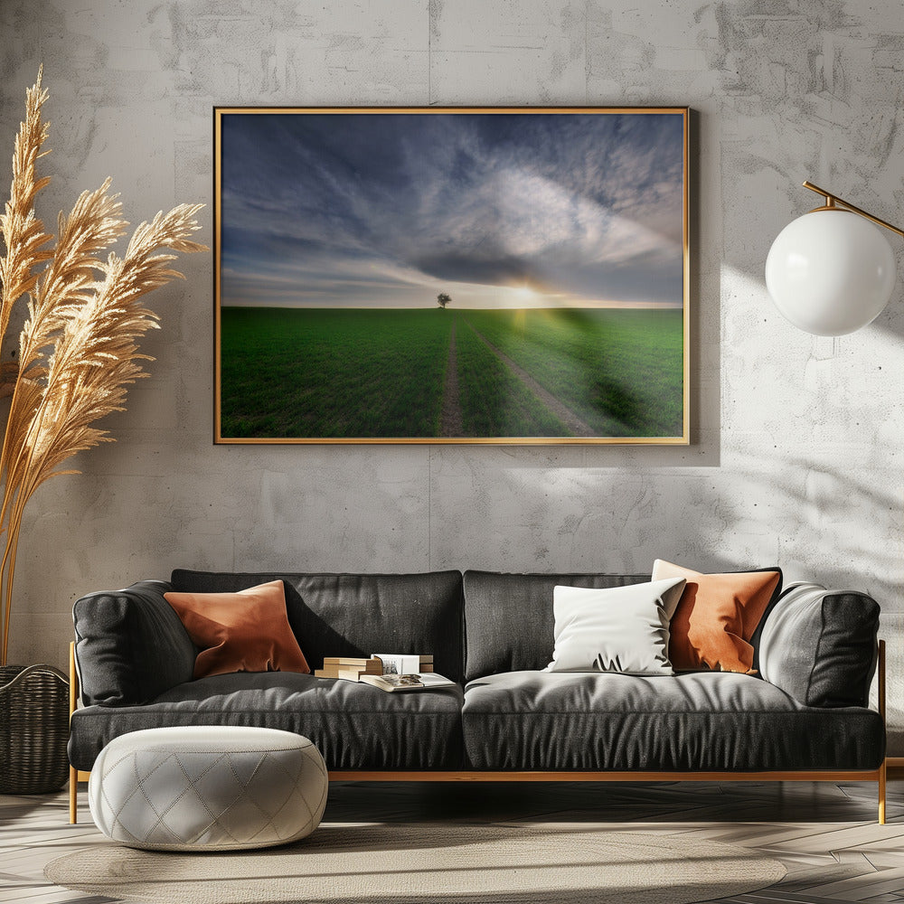 loner in the sun | Canvas