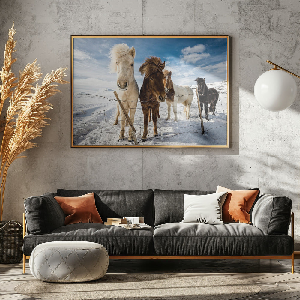 Icelandic Hair Style | Poster