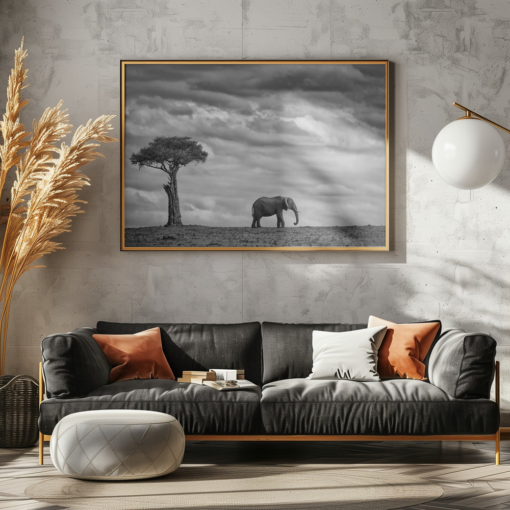 Elephant Landscape | Canvas