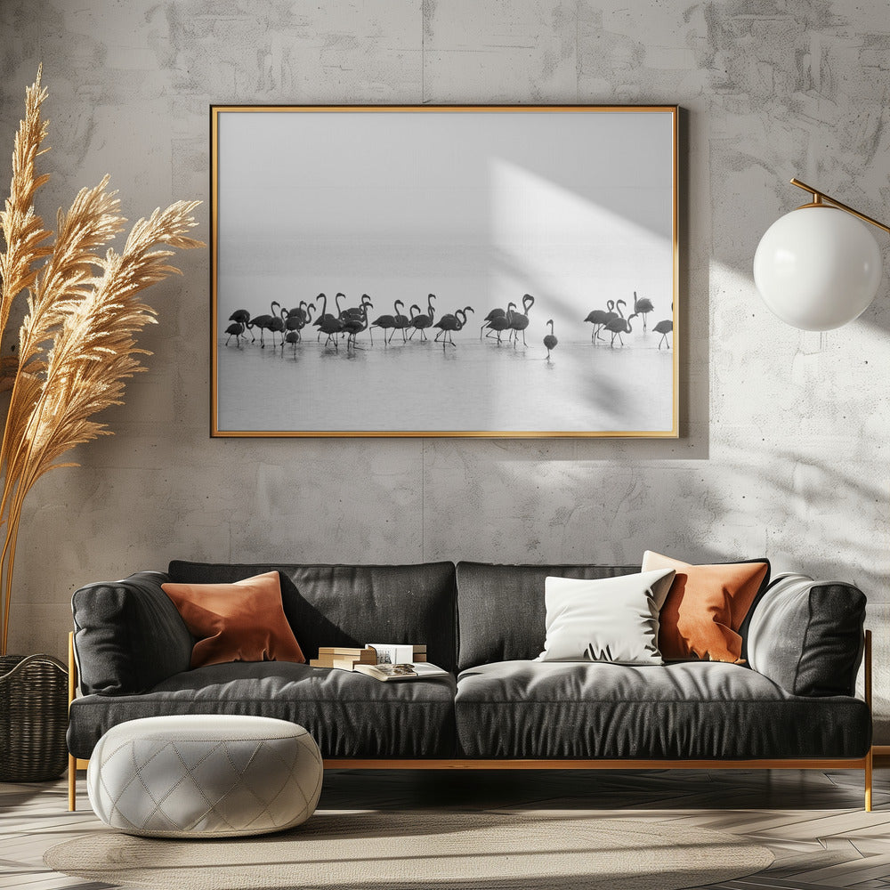 Flamingos | Poster