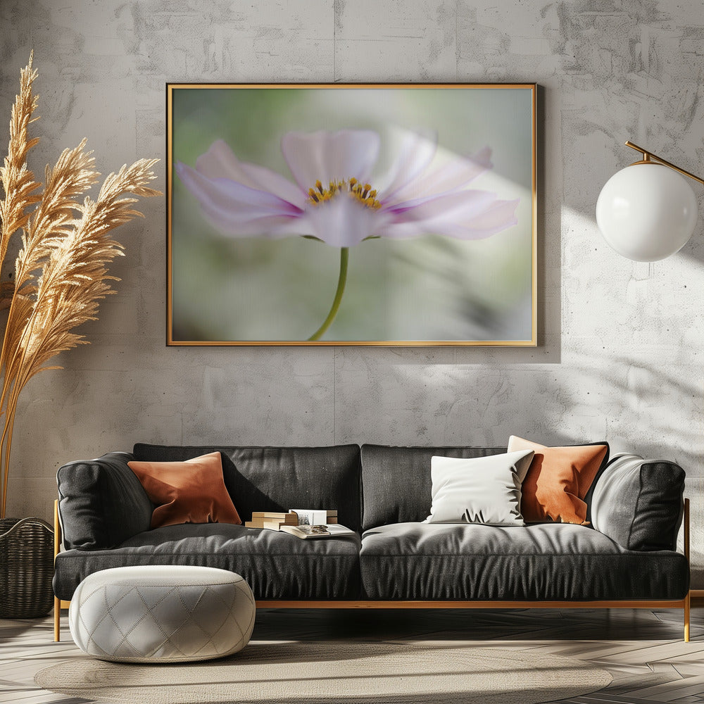 Cosmos Cloud | Poster