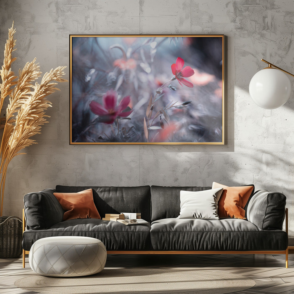 Une Fleur, une Histoire | Canvas