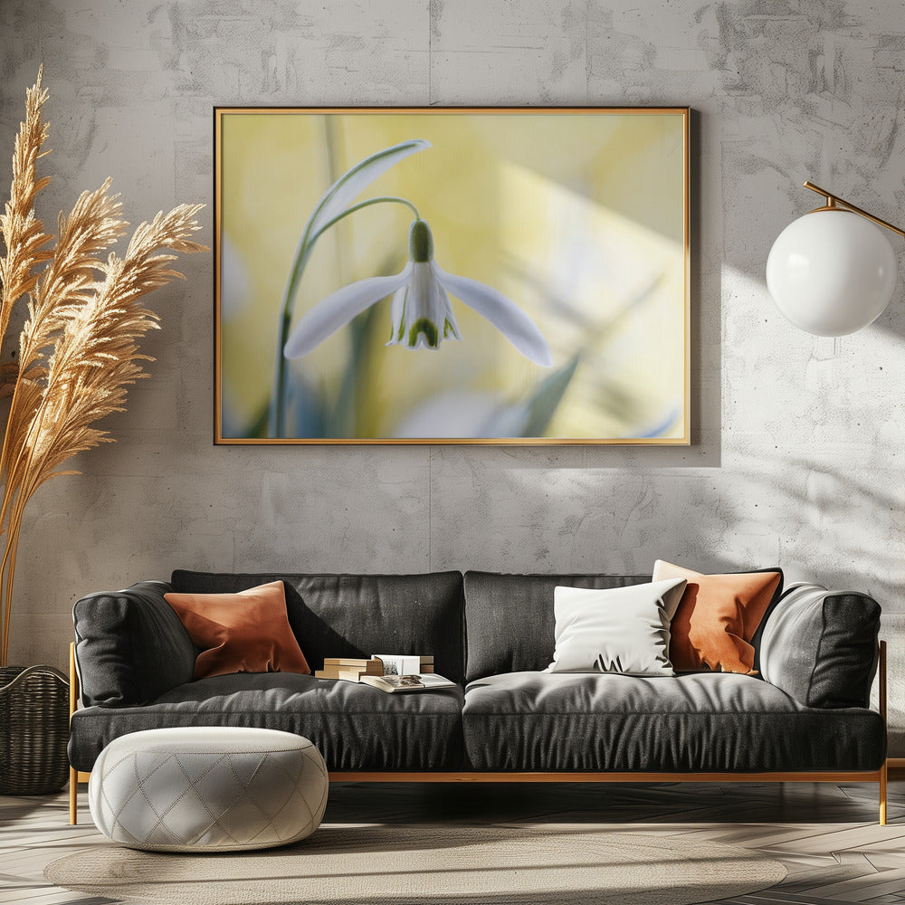 Snowdrops | Canvas